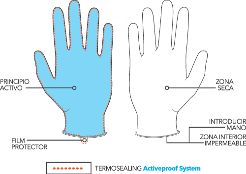 Infografía de la estructura del producto Glove